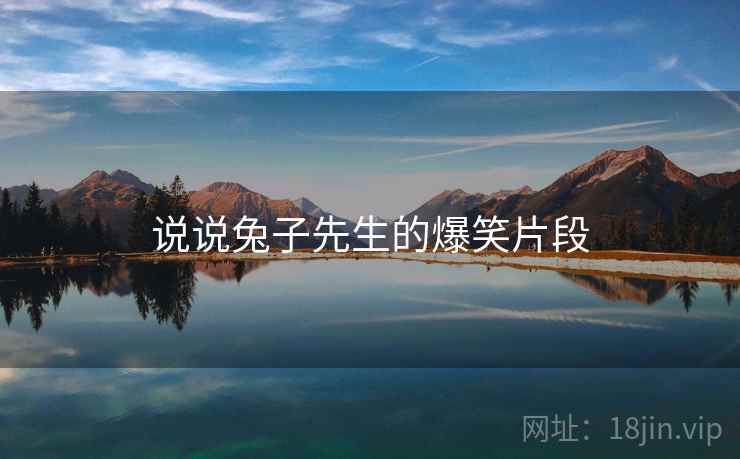 说说兔子先生的爆笑片段