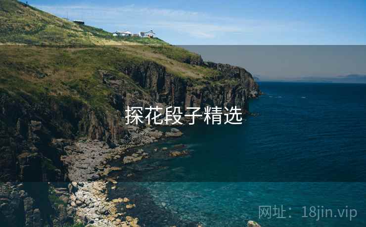 探花段子精选 探花段子精选