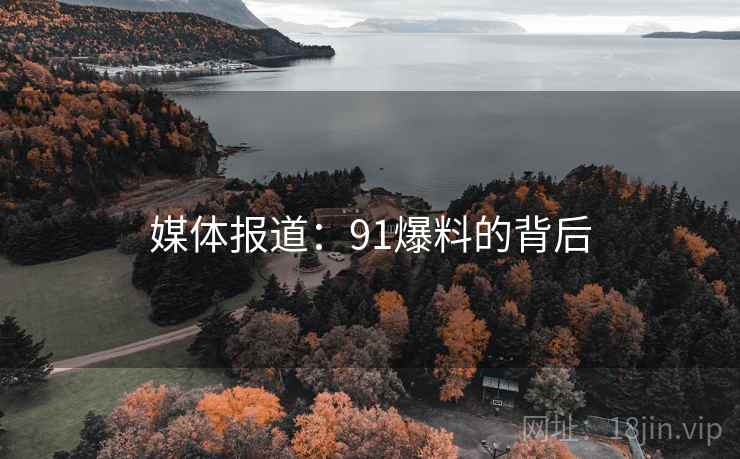 媒体报道:91爆料的背后 媒体报道:91爆料的背后